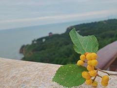 -兴城海滨风景区
