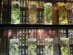 -广东中医药博物馆