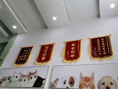 -爱侣宠医·鹦鹉专科·小型哺乳类·异宠专科(灵石路店)