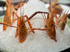 -HOMES上海本帮菜(襄阳公园店)