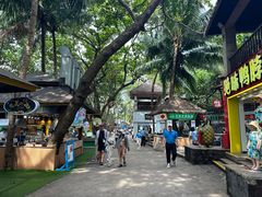 -海南分界洲岛旅游区