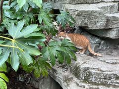 -狼山风景名胜区