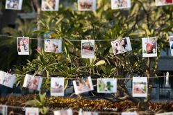 -WOW Wedding婚礼定制