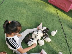 -萌宠亲子动物乐园(槐房万达店)