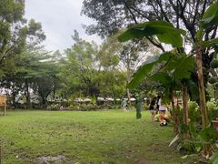 -广东花都香草世界旅游度假区