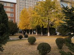 -辽宁大学(崇山校区)