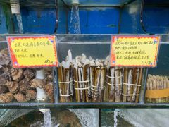 圣子皇-蚝专家(北滘店)