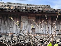 -东钱湖旅游度假区