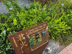 -华农酸奶文化馆