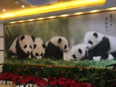 -成都驻京办餐厅(蜀都宾馆店)