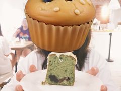 -Green wood coffee绿木咖啡