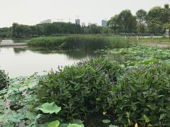 -尚贤河湿地