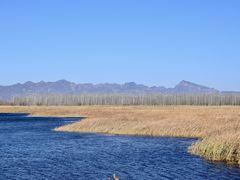 -野鸭湖国家湿地公园