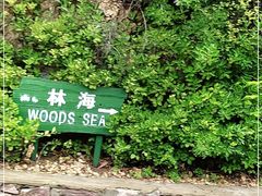 -长岛南北长山旅游景区