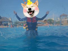 -西安华夏文旅水世界