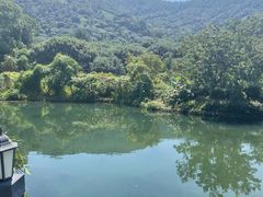 -树山生态村