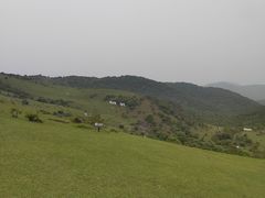 -大姆山草场