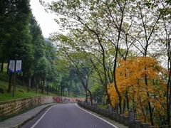 -重庆平顶山公园
