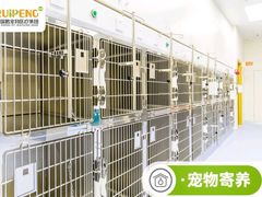 -纳吉亚猫专科动物医院博雅分院