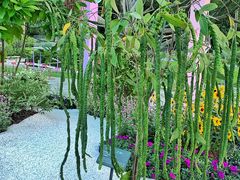 -云溪植物园