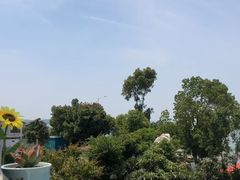 -美味之家·湖景农家乐(太湖东山店)
