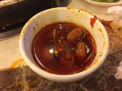 -朱氏胖子烂火锅(洪崖洞店)