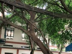 -四川大学(望江校区)
