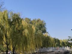 -元大都城垣遗址公园