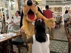 -小镇影院迪士尼小熊Duffy与他的朋友合影地