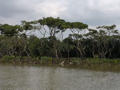 -东寨港红树林旅游区