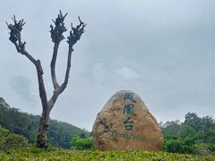 -火炉山森林公园