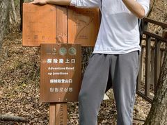 -王顺山国家森林公园