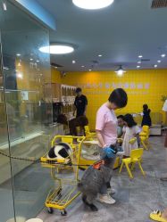 -神奇动物撸宠馆·羊驼·小浣熊·异宠(豫园店)