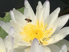 -华南国家植物园-售票处