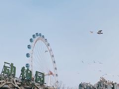 -大连森林动物园