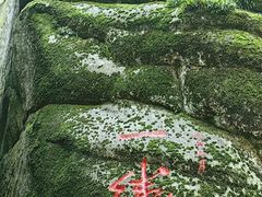 -汤旺河林海奇石景区