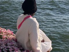 -南诏风情岛