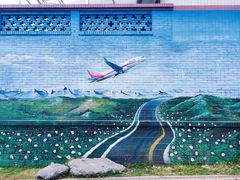 -空港花田景区