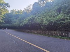 -红花湖景区