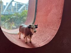 -觅福里•熟成和牛餐厅