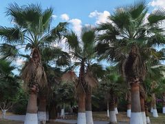 -西昌邛海湾柏樾酒店(原邛海湾柏栎度假酒店)