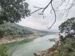 -巫山纸包鱼·干锅·腊猪蹄(龙洲大道店)