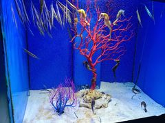 -多彩贵州城极地海洋世界