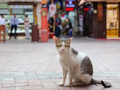 -迪拜黄金市场