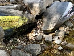 -黑龙潭风景区