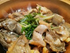 砂锅焗老虎斑-冰火楼(梦泽园店)