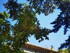 -潭柘寺景区