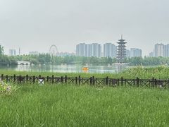 -洋湖国家湿地公园