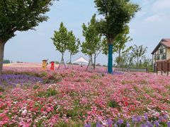 -歌斐颂巧克力小镇