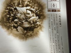 -璞真扎染博物馆